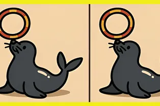 Тюлень с обручем: отыщите отличия между рисунками
