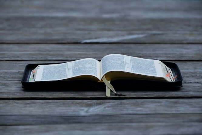 Школа, школа, я скучаю: слово, которое вводит в заблуждение даже умников. Разберетесь, как правильно поставить ударение?