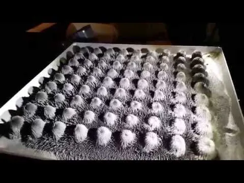 Нажми и смотри Нажми и смотри