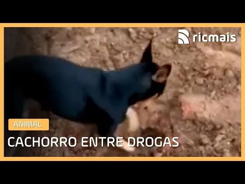 Нажми и смотри