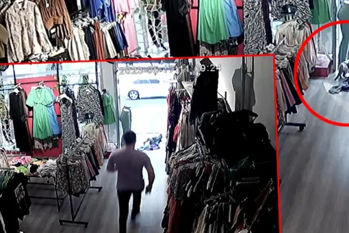 В Турции кот обокрал магазин с одеждой: видео В Турции кот обокрал магазин с одеждой: видео