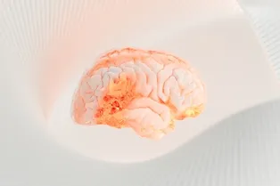 Продукты полезные для здоровья мозга Продукты полезные для здоровья мозга