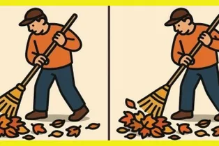 Между дворниками есть 3 отличия. Сможете найти их за 14 секунд? Между дворниками есть 3 отличия. Сможете найти их за 14 секунд?