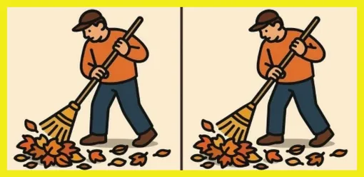 Найдите 3 отличия Найдите 3 отличия