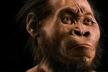 Homo erectus. Предок Homo sapiens. Реконструкция. Homo erectus. Предок Homo sapiens. Реконструкция.