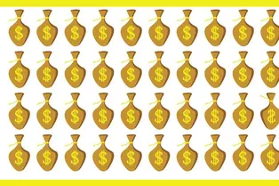 У вас есть 6 секунд: найдите лишний мешок с деньгами 