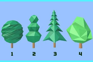 Мы расскажем о вас все: выберите дерево и узнайте, что вы за человек