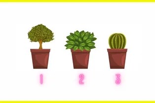 Вирусный тест: выберите цветок и узнайте свою самую сильную сторону Вирусный тест: выберите цветок и узнайте свою самую сильную сторону