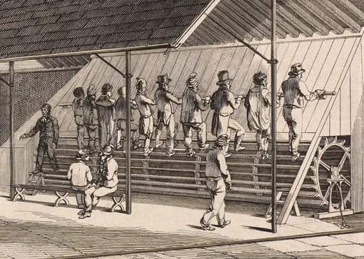 Первая беговая дорожка