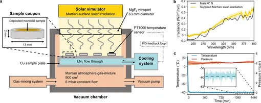 Конфигурация экспериментальной камеры для моделирования условий Марса. (a) Схематическое изображение экспериментальной установки, используемой для воздействия на образцы, нанесенные на алюминиевые купоны (вставка), моделирующего солнечного излучения Марса (SMC). (b) Средний спектр поступающего марсианского солнечного излучения (желтый, n = 6) в сравнении с расчетными значениями солнечного излучения на поверхности Марса на широте 0° с.ш. (7) (черный). (c) Средняя температура (синий, n = 2) и давление (оранжевый, n = 2), измеренные в течение 1440-минутного периода моделирования условий на Марсе. На врезке показаны мелкомасштабные колебания температуры в течение последних 360 минут. Заштрихованные области обозначают стандартные отклонения.