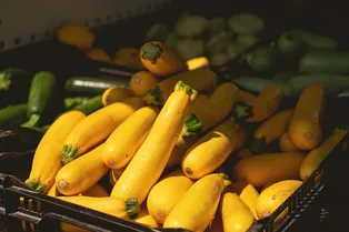 Врачи предупредили: привычный овощ может стать причиной серьезного отравления. Угадаете, в чем подвох? Врачи предупредили: привычный овощ может стать причиной серьезного отравления. Угадаете, в чем подвох?