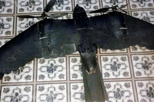 Шпионский беспилотник успешно маскировался под птицу Шпионский беспилотник успешно маскировался под птицу