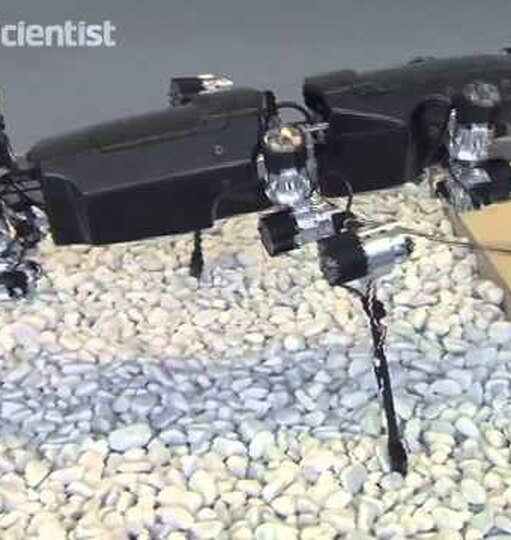 Нажми и смотри