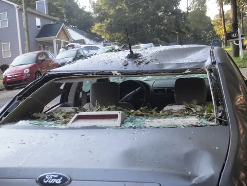 машина повреждена упавшим деревом