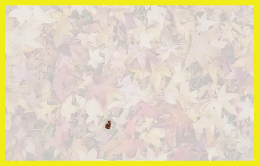 Ответ на головоломку