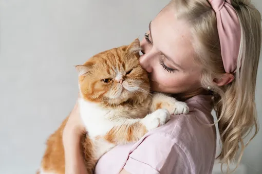 Пушистое счастье или стресс на лапках: психологи объяснили, почему домашние питомцы не всегда могут успокаивать нервы Пушистое счастье или стресс на лапках: психологи объяснили, почему домашние питомцы не всегда могут успокаивать нервы