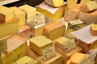 Сколько сыра можно есть каждый день без вреда для здоровья? Угадайте норму Сколько сыра можно есть каждый день без вреда для здоровья? Угадайте норму