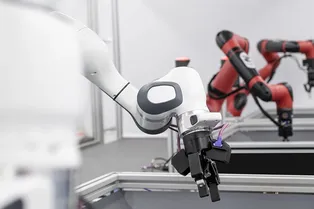 DeepMind разработала RoboCat, чтобы он гулял сам по себе DeepMind разработала RoboCat, чтобы он гулял сам по себе