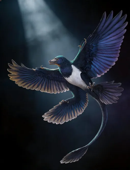 Художественное изображение Norellraptor barsboldi Художественное изображение Norellraptor barsboldi
