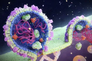 Открытие, которое вас шокирует: эти вирусы тайно «правят» мировыми океанами Открытие, которое вас шокирует: эти вирусы тайно «правят» мировыми океанами