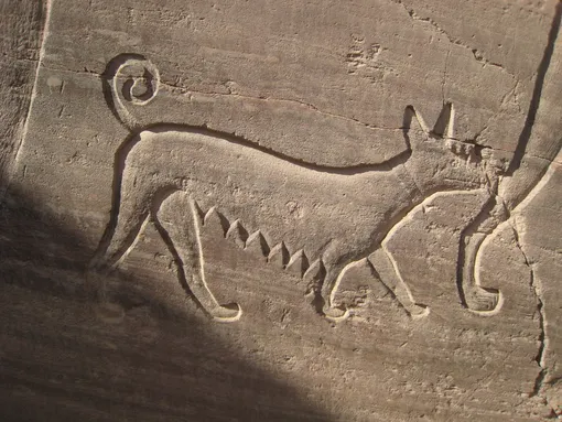 Египетские наскальные рисунки Египетские наскальные рисунки