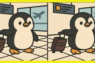 Пингвин в аэропорту: найдите 3 отличия между рисунками