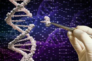 Редактирование генов вышло на новый уровень: встречайте CRISPR, которому не нужны вирусы Редактирование генов вышло на новый уровень: встречайте CRISPR, которому не нужны вирусы