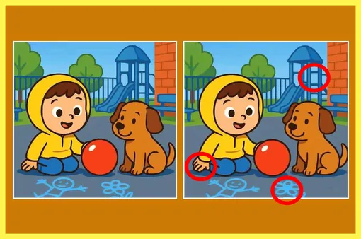 Ответ на зрительную головоломку