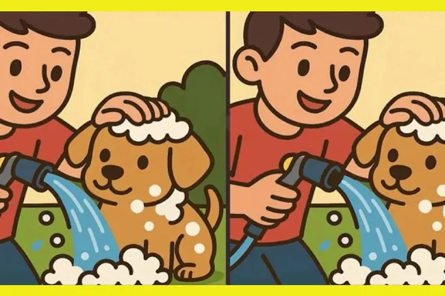 Купание щенка: попробуйте найти 3 отличия за 30 секунд