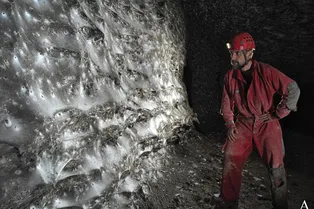 Обнаружена самая большая в мире паутина, в которой обитает более 111 000 ползучих тварей Обнаружена самая большая в мире паутина, в которой обитает более 111 000 ползучих тварей