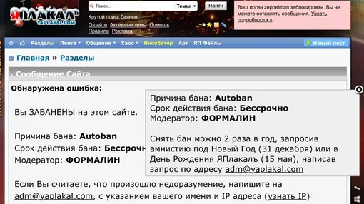Получить бан на любимом форуме — неприятнейшая изоляция от веб-сообщества Скриншот форума