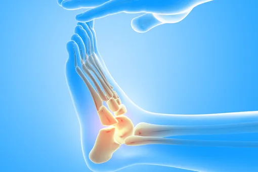 Ученые нашли способ активировать внутренние механизмы организма для борьбы с остеопорозом