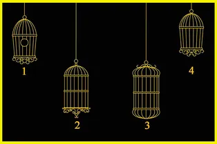 Кое-что мешает вам двигаться вперед: выберите клетку и узнайте, что именно