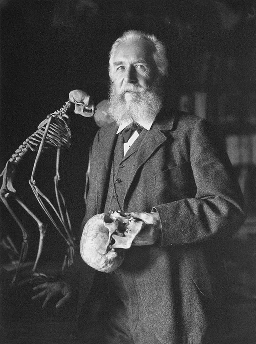 Эрнст Геккель, 1890-е