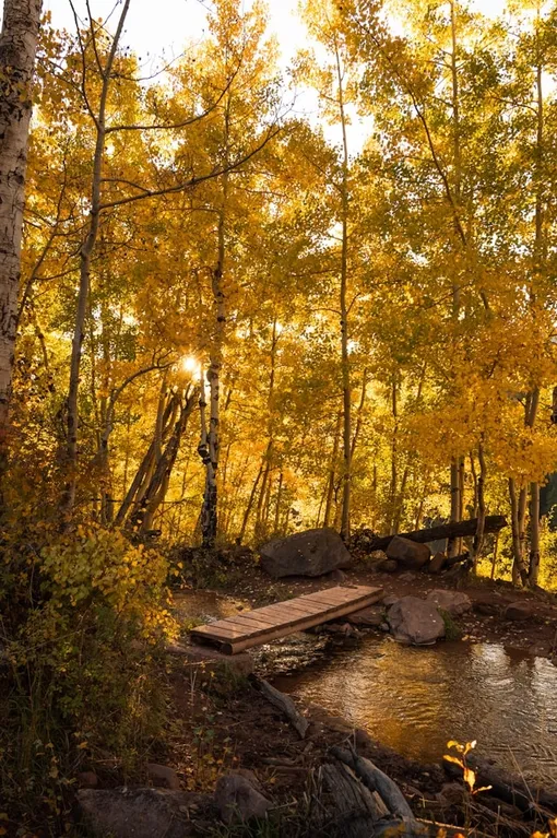 осень осень