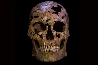 Во Вьетнаме нашли 12 000-летние останки человека, который погиб после ранения экзотической кварцевой стрелой Во Вьетнаме нашли 12 000-летние останки человека, который погиб после ранения экзотической кварцевой стрелой