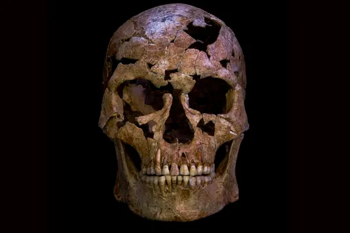 Во Вьетнаме нашли 12 000-летние останки человека, который погиб после ранения экзотической кварцевой стрелой Во Вьетнаме нашли 12 000-летние останки человека, который погиб после ранения экзотической кварцевой стрелой