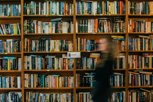 Сколько струн у классической гитары и кто написал «Одиссею»: тест-минутка на проверку общих знаний Сколько струн у классической гитары и кто написал «Одиссею»: тест-минутка на проверку общих знаний