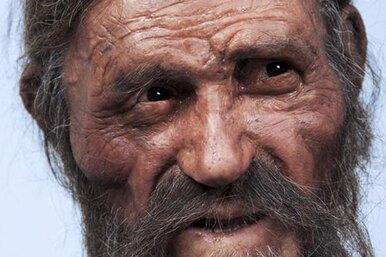 Как звучит голос 5800-летней мумии