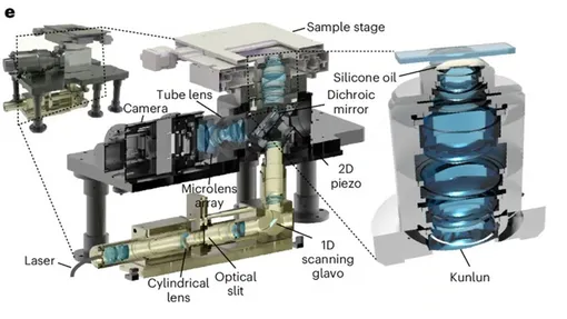 Система RUSH3D-HR. https://www.nature.com/articles/s41587-026-03231-z Система RUSH3D-HR. https://www.nature.com/articles/s41587-026-03231-z