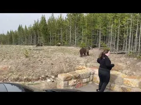 Нажми и смотри Нажми и смотри