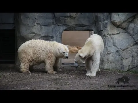 Нажми и смотри