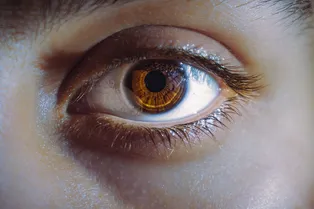 Можно ли носить линзы в жару? Можно ли носить линзы в жару?