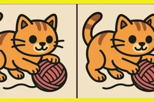 Котенок, играющий с клубком: сможете найти отличия между изображениями?