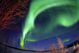 Ученые выяснили, почему северное сияние иногда внезапно «взрывается»