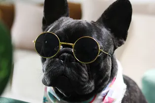 Астрономия, география и современное кино: мини-тест общих знаний для людей с широким кругозором Астрономия, география и современное кино: мини-тест общих знаний для людей с широким кругозором