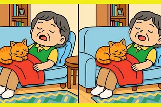 Спящая бабушка с котом: сможете отыскать 3 отличия? Спящая бабушка с котом: сможете отыскать 3 отличия?