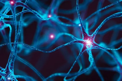 Ученые создают искусственные нейроны, которые работают как настоящие Ученые создают искусственные нейроны, которые работают как настоящие