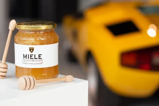 мед ламборгини мед ламборгини