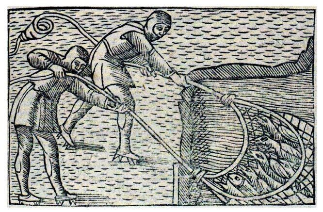 Oklu Leylek, Aristoteles'ten 19. yy'a Kadar Sorgulanan Bir Gizemi Çözdü